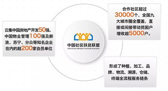 发展研究视角下精准扶贫政策与社区物业管理的协同路径探析
