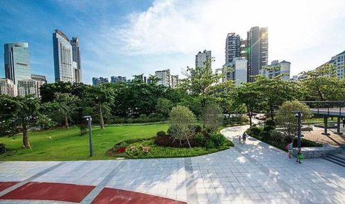 城市绿植的疗愈之力 绿色空间如何微妙影响心理健康