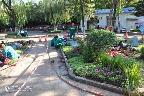 以赛促练强技能 匠心铸就城市美——资阳市园林绿化管理处成功举办第十四届“十万职工大练兵、大比赛、技艺大比武”活动